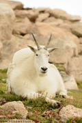 COLORADO HIGH COUNTRY - September 2013